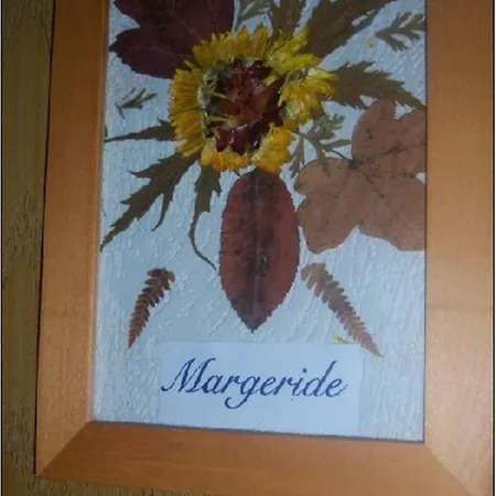 Inn De La Pagnoune Loubaresse (Cantal)
