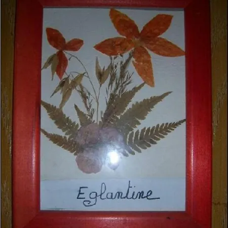 De La Pagnoune Inn Loubaresse (Cantal)