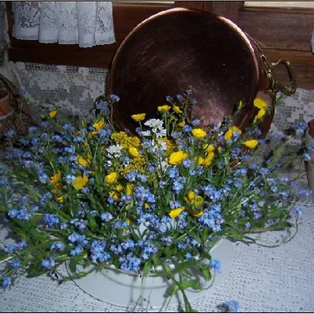 Inn De La Pagnoune